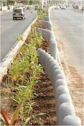 Central Median 1