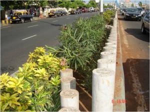 Central Median 2