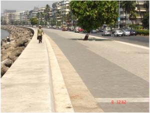 Executed Sea Wall